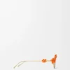 Daisy Field Sonnenbrille Orange