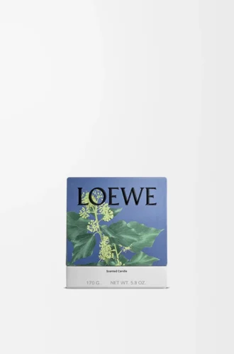 Kleine Efeu-Kerze Hellrosa