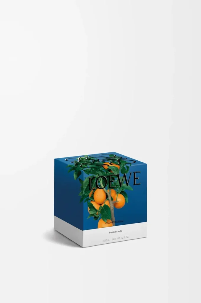 Kleine Orangenblütenkerze Helle Mandarine