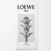 LOEWE 001 Man Eau de Toilette 50 ml Farblos