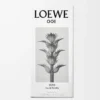 LOEWE 001 Man Eau de Toilette 50 ml Farblos