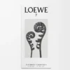 LOEWE 7 Eau de Toilette 50 ml Farblos