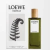 LOEWE Esencia Eau de Parfum 50 ml Farblos