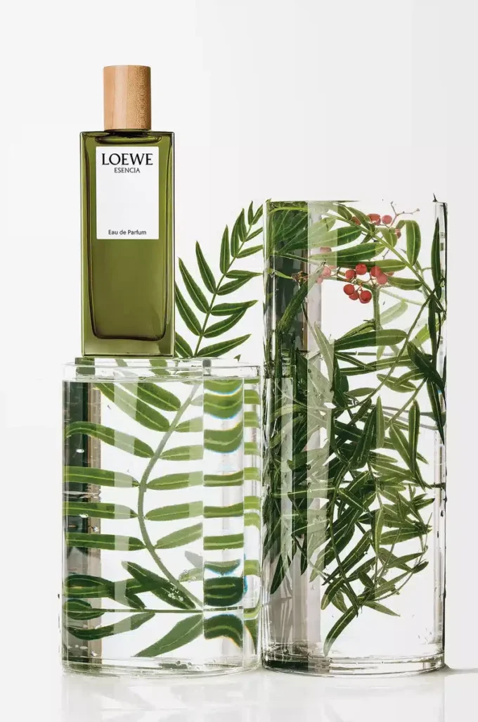 LOEWE Esencia Eau de Parfum 50 ml Farblos