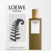 LOEWE Esencia EDT 50 ml Farblos