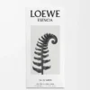 LOEWE Esencia EDT 50 ml Farblos