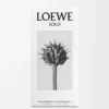 LOEWE Solo Eau de Toilette 50 ml Farblos