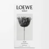 LOEWE Solo Ella Eau de Parfum 50 ml Farblos