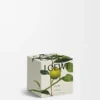 Midi Earl Grey Duftkerze Gold