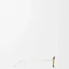 Muschel-Sonnenbrille Gold