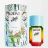Paula’s Ibiza Eau de Toilette 50 ml Farblos