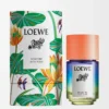 Paula’s Ibiza Eclectic Eau de Toilette 50 ml Farblos