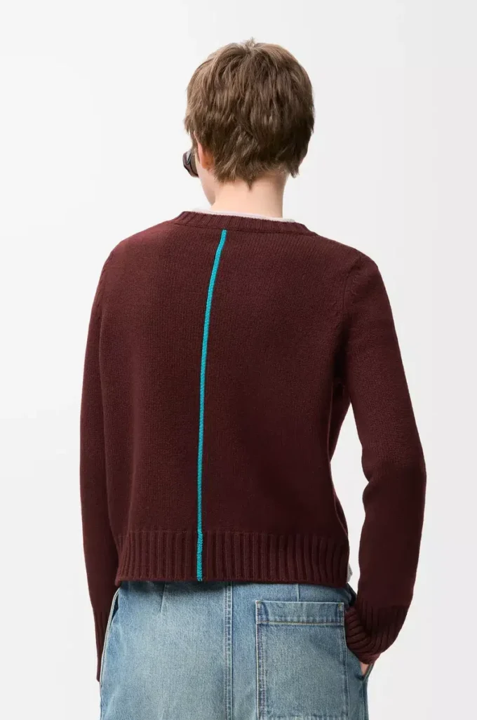 Pullover aus Kaschmir in Burgunderrot/Mehrfarbig