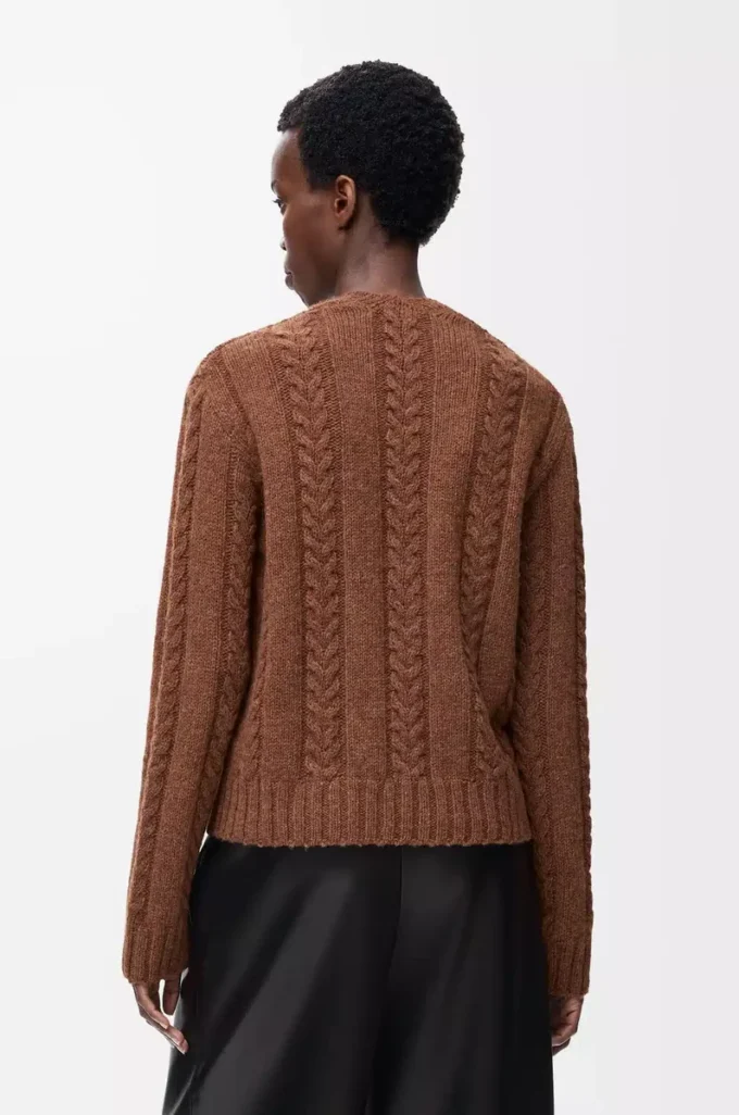 Pullover aus Wolle Braun