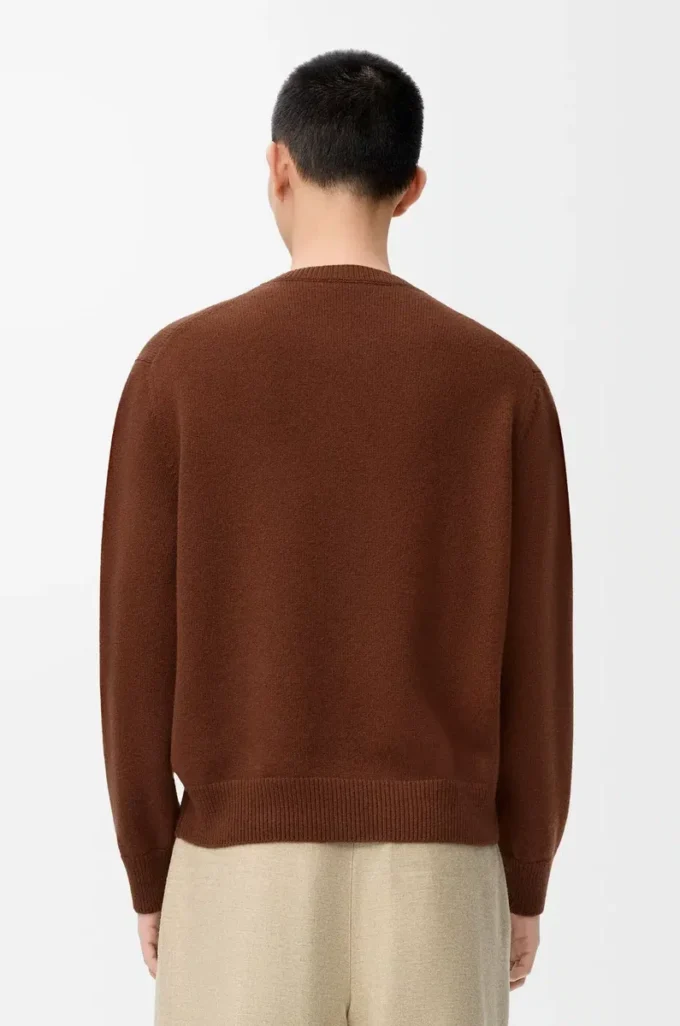 Pullover aus Wolle in Braun