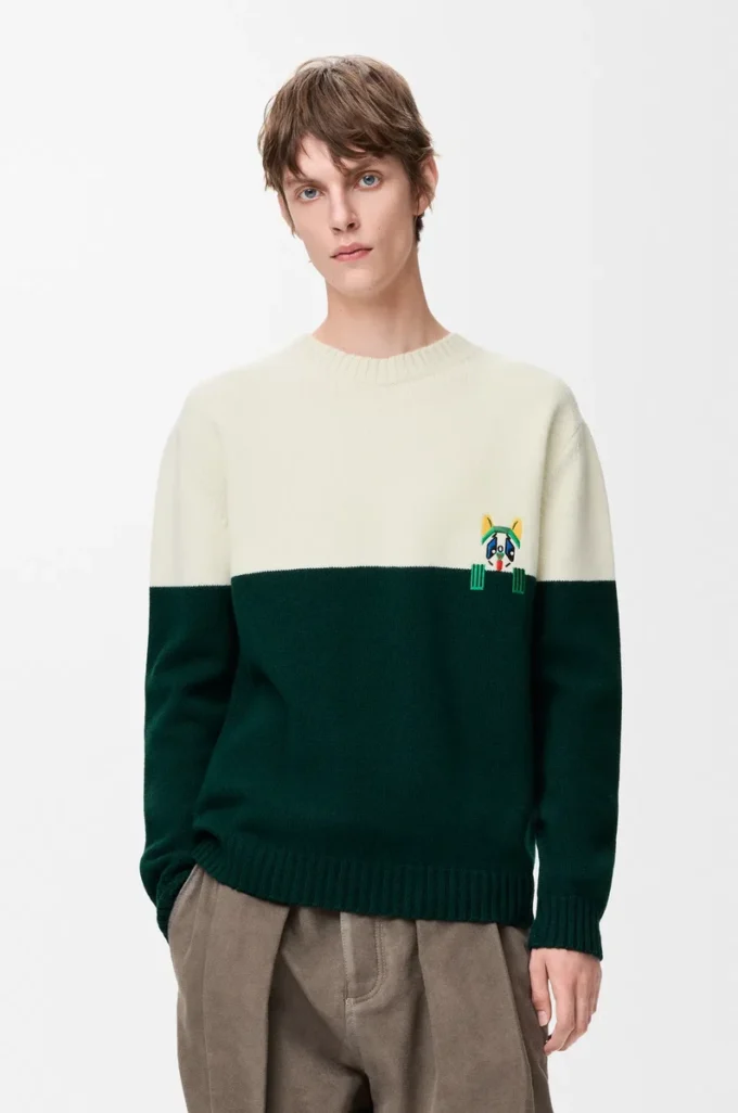 Pullover aus Wolle Weiß/Grün