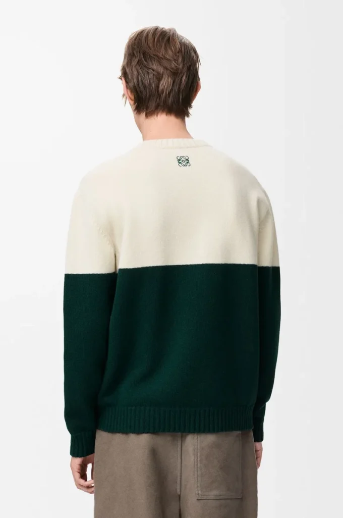 Pullover aus Wolle Weiß/Grün