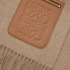 Schal aus Wolle und Kaschmir Beige