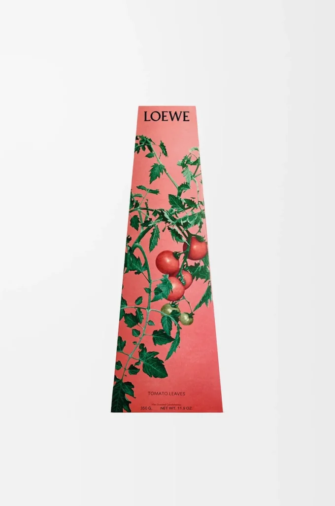 Tomatenblätter-Wachskerzenhalter Rot